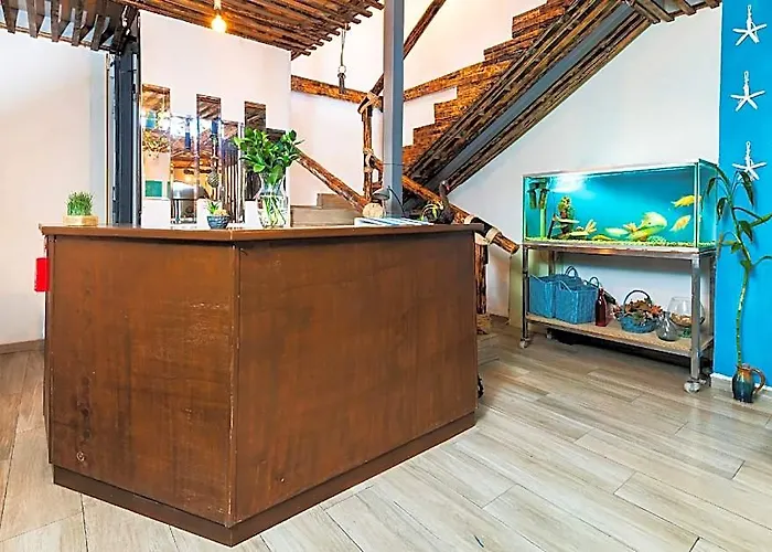 Hotel Capital O Del Pescador, Cabos Cabo San Lucas